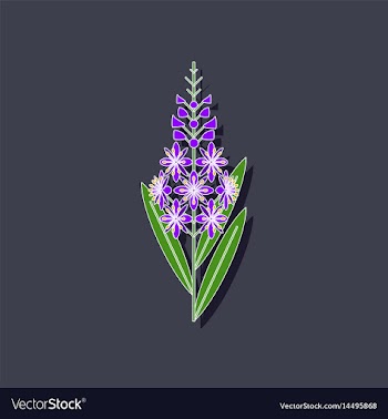 Paper sticker on stylish background herbal vector image
