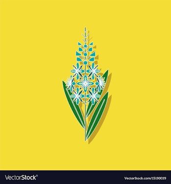 Paper sticker on stylish background herbal vector image