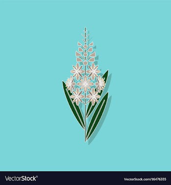 Paper sticker on stylish background herbal vector image