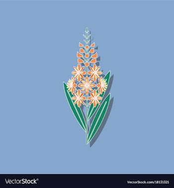 Paper sticker on stylish background herbal vector image
