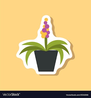 Paper sticker on stylish background hyacinth vector image