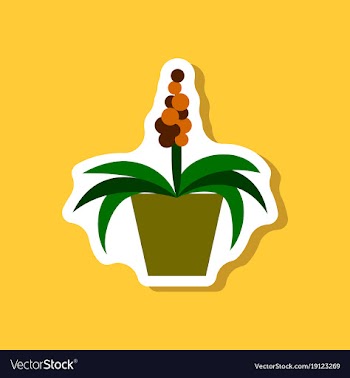 Paper sticker on stylish background hyacinth vector image