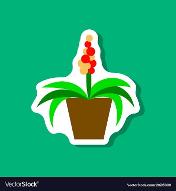 Paper sticker on stylish background hyacinth vector image