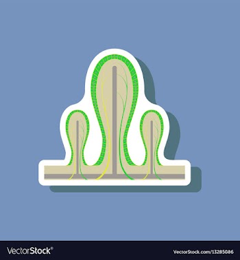 Paper sticker on stylish background intestinal vector image