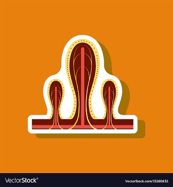 Paper sticker on stylish background intestinal vector image