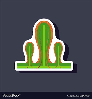 Paper sticker on stylish background intestinal vector image