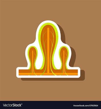 Paper sticker on stylish background intestinal vector image