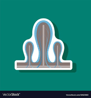 Paper sticker on stylish background intestinal vector image