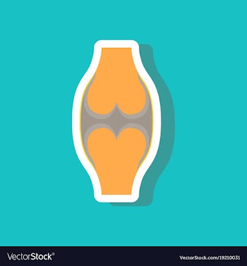 Paper sticker on stylish background joint vector image