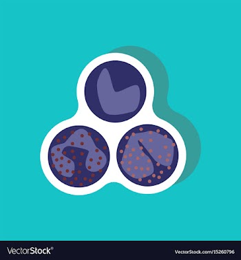 Paper sticker on stylish background leukocyte vector image