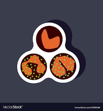 Paper sticker on stylish background leukocyte vector image