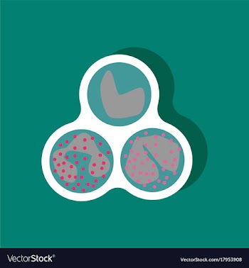 Paper sticker on stylish background leukocyte vector image