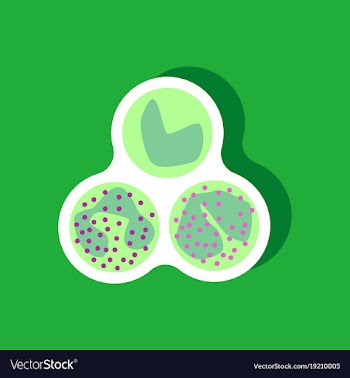 Paper sticker on stylish background leukocyte vector image