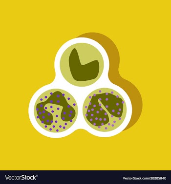 Paper sticker on stylish background leukocyte vector image
