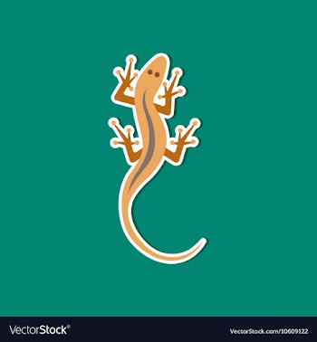 Paper sticker on stylish background lizard reptile vector image