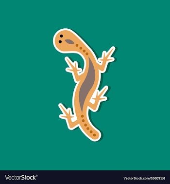 Paper sticker on stylish background lizard reptile vector image