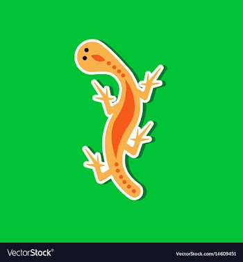 Paper sticker on stylish background lizard reptile vector image