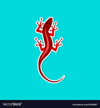 Paper sticker on stylish background lizard reptile vector image