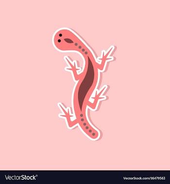 Paper sticker on stylish background lizard reptile vector image
