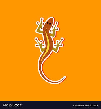 Paper sticker on stylish background lizard reptile vector image