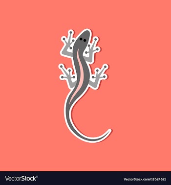 Paper sticker on stylish background lizard reptile vector image
