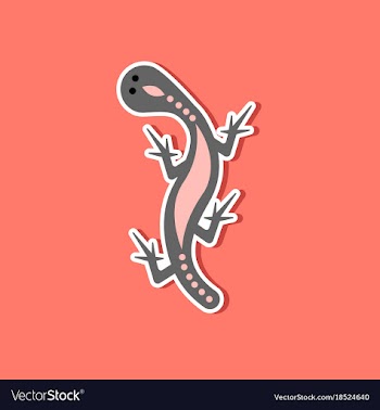 Paper sticker on stylish background lizard reptile vector image
