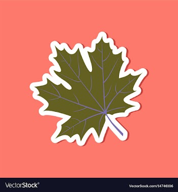 Paper sticker on stylish background maple leaf vector image