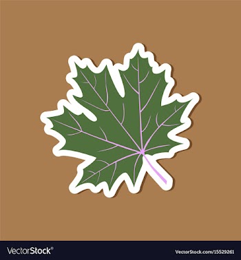 Paper sticker on stylish background maple leaf vector image