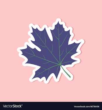 Paper sticker on stylish background maple leaf vector image