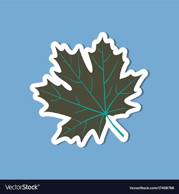 Paper sticker on stylish background maple leaf vector image