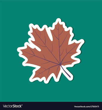 Paper sticker on stylish background maple leaf vector image