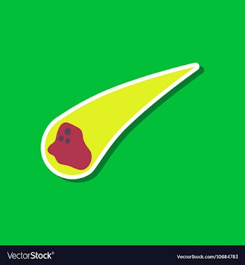 Paper sticker on stylish background of nature vector image