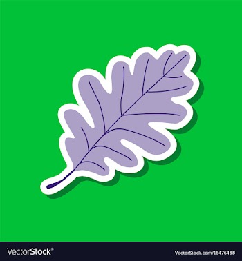 Paper sticker on stylish background of oak leaf vector image