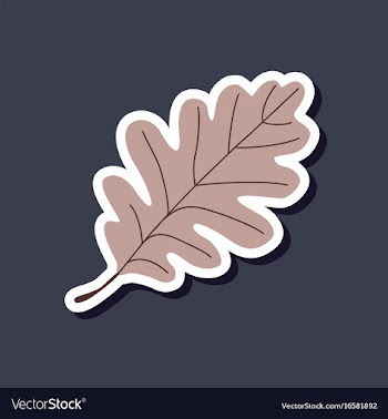 Paper sticker on stylish background of oak leaf vector image