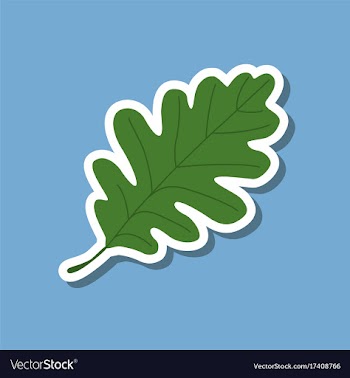 Paper sticker on stylish background of oak leaf vector image