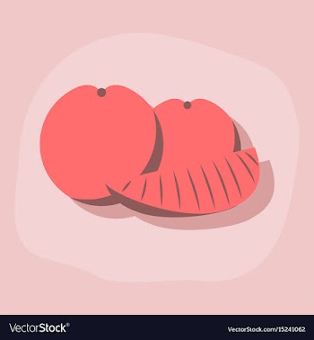 Paper sticker on stylish background orange slice vector image