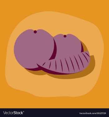 Paper sticker on stylish background orange slice vector image