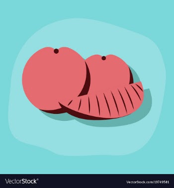 Paper sticker on stylish background orange slice vector image