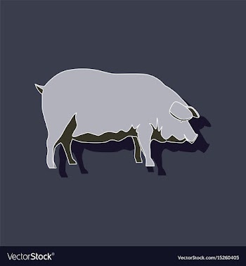 Paper sticker on stylish background pig vector image