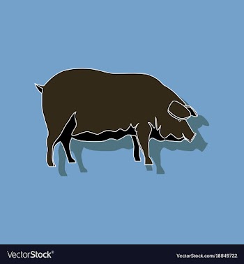 Paper sticker on stylish background pig vector image