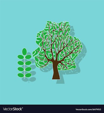 Paper sticker on stylish background plant acacia vector image