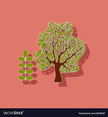 Paper sticker on stylish background plant acacia vector image