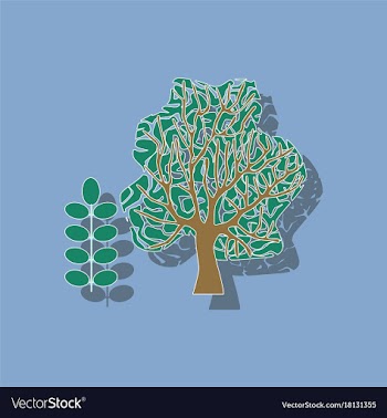 Paper sticker on stylish background plant acacia vector image