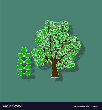 Paper sticker on stylish background plant acacia vector image