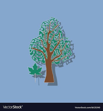 Paper sticker on stylish background plant acer vector image
