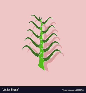 Paper sticker on stylish background plant Aloe vector image