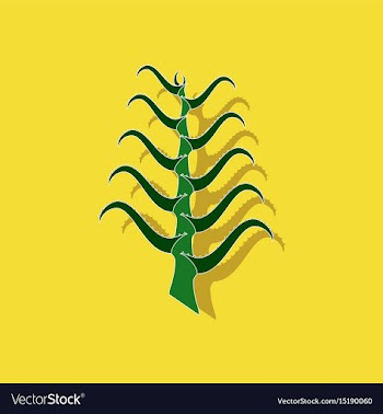 Paper sticker on stylish background plant aloe vector image
