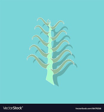 Paper sticker on stylish background plant aloe vector image