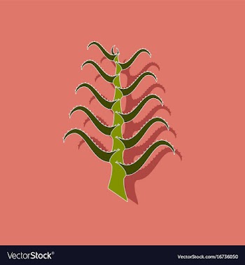 Paper sticker on stylish background plant aloe vector image