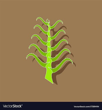 Paper sticker on stylish background plant aloe vector image